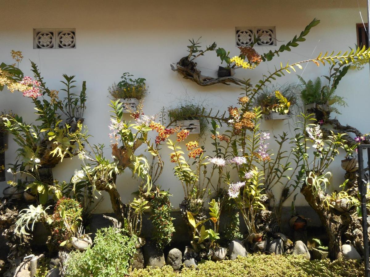 Dika Homestay Sidemen (Bali) Exterior foto