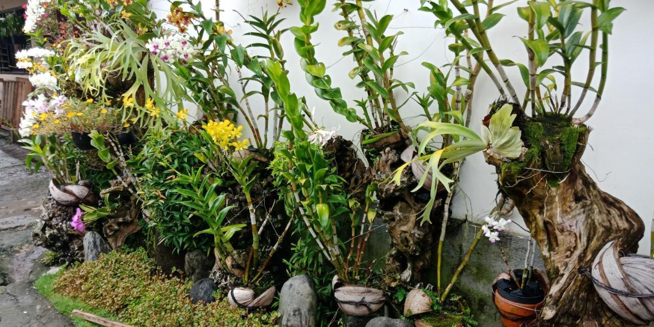 Dika Homestay Sidemen (Bali) Exterior foto
